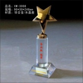 XW-3008五星獎(jiǎng)杯