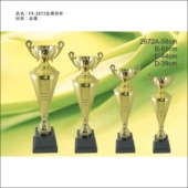 FX-2872金屬獎(jiǎng)杯