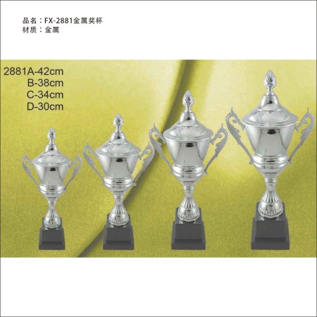 FX-2881金屬獎杯 