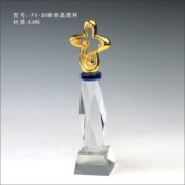 FX-30新水晶獎(jiǎng)杯