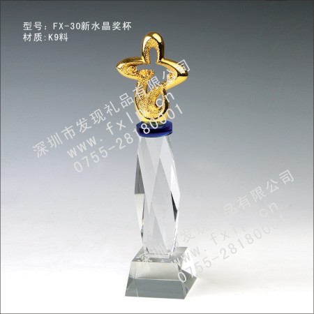 FX-30新水晶獎(jiǎng)杯 